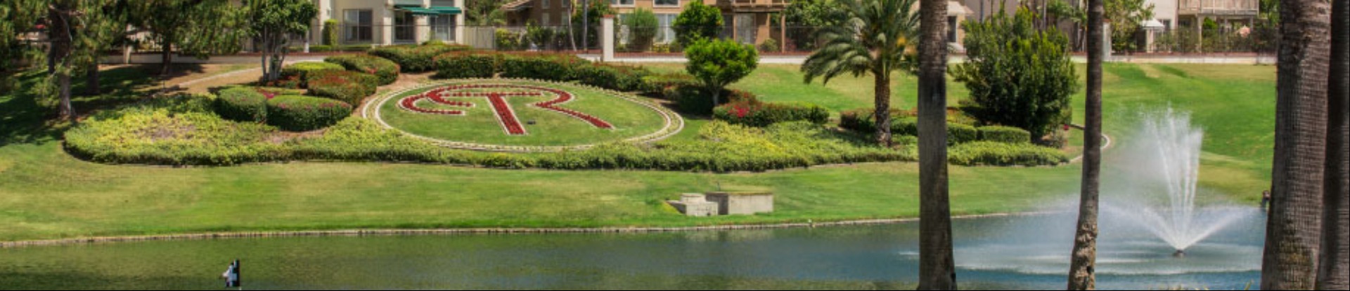 Image of golf ball on tee on grass.